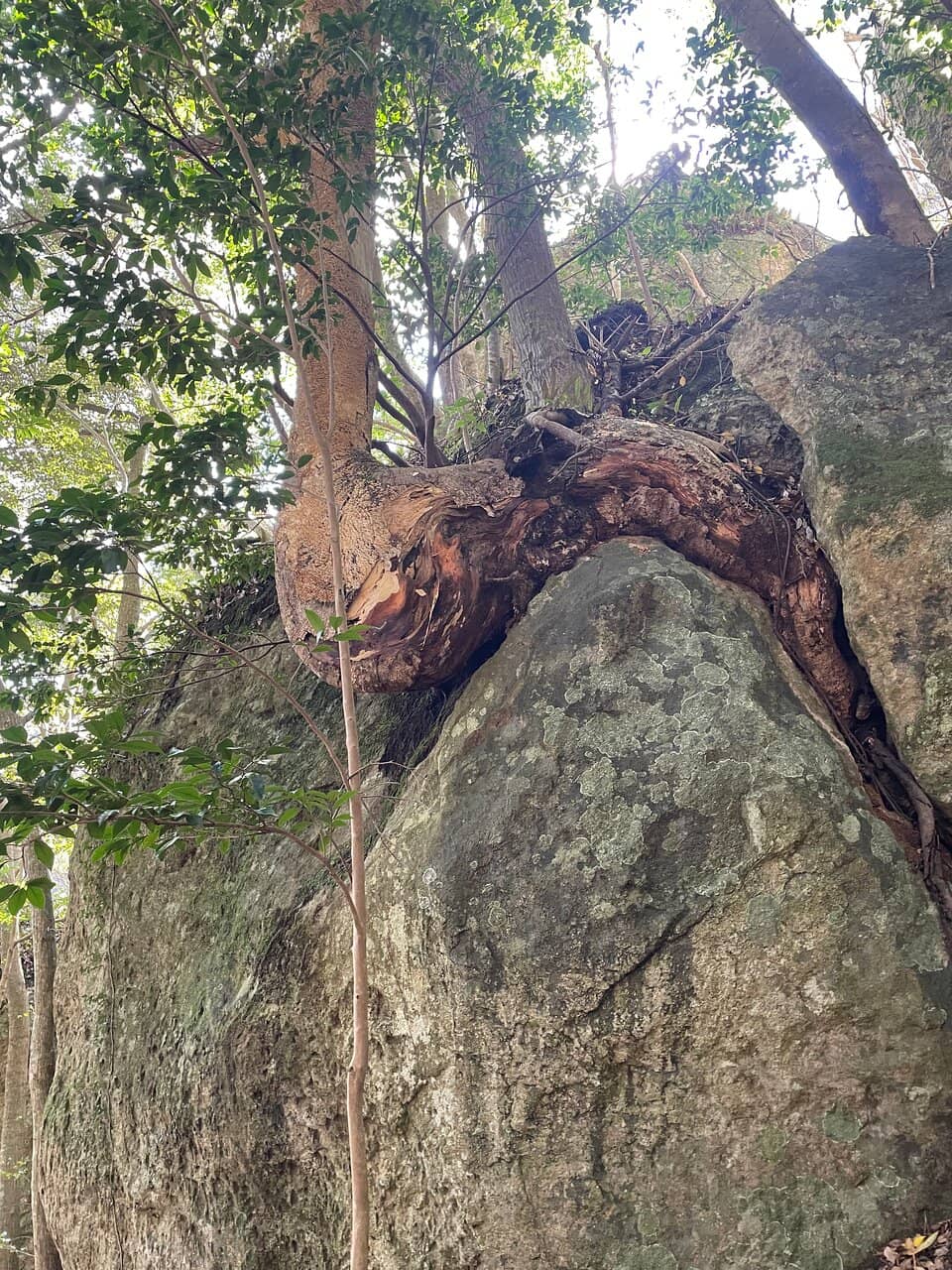 Vertical photo