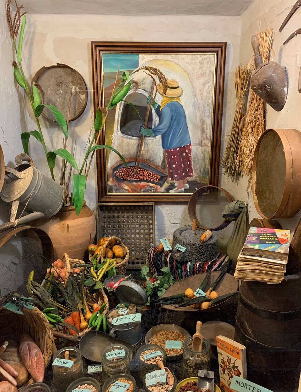 Canarian Pottery Collection