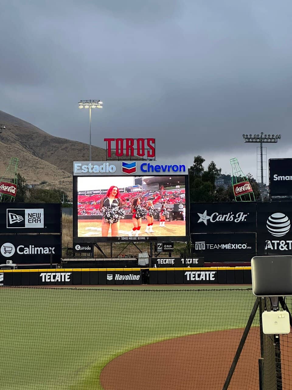 Live Music & Entertainment