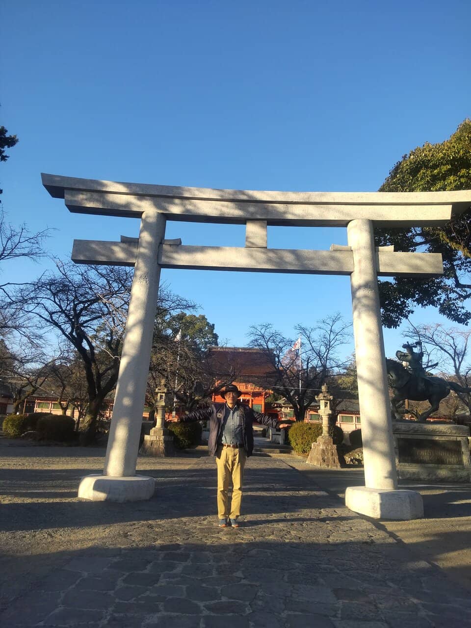 Mount Fuji Vista