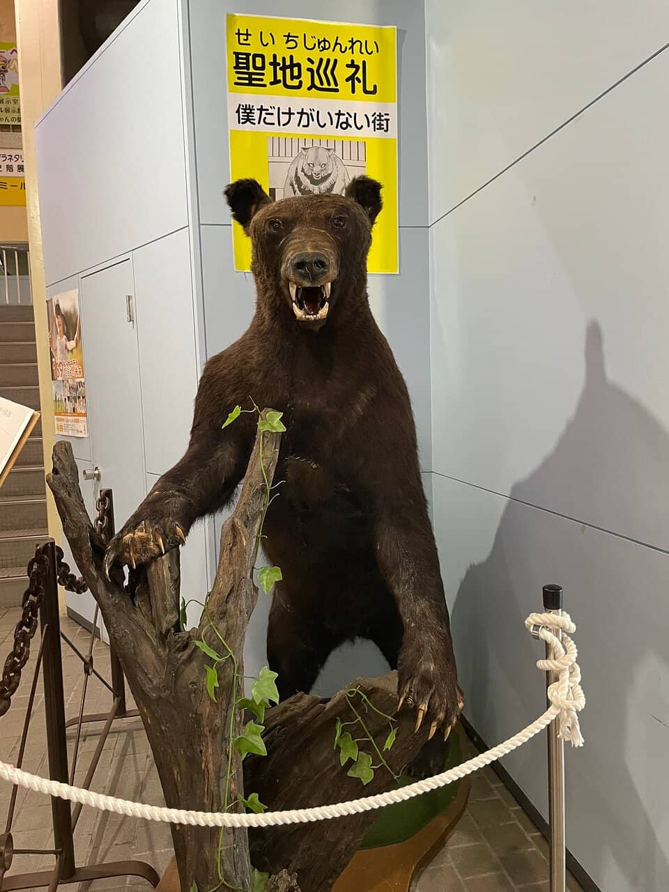 Ainu Culture Exhibits