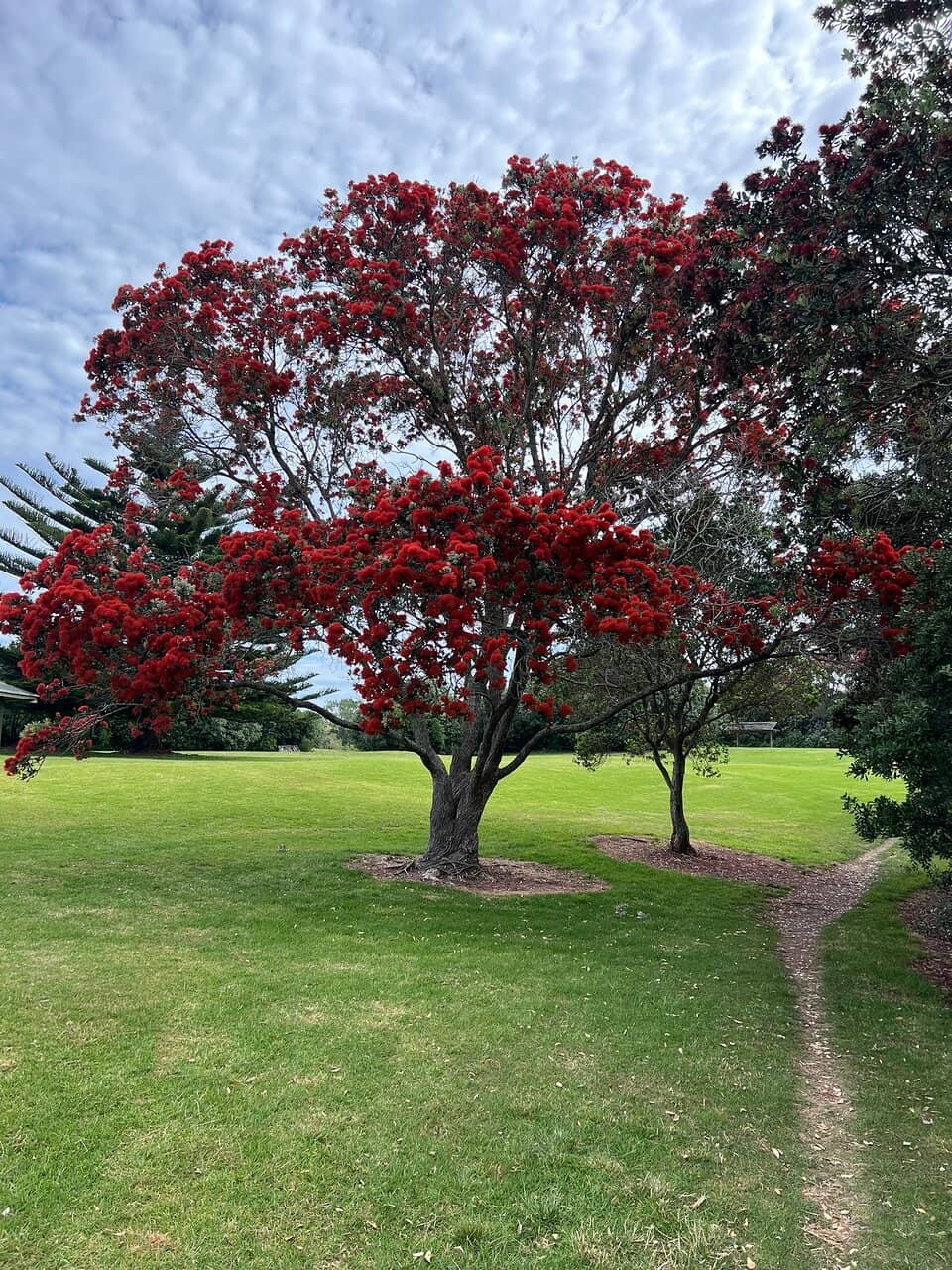 Picnic & BBQ Spots