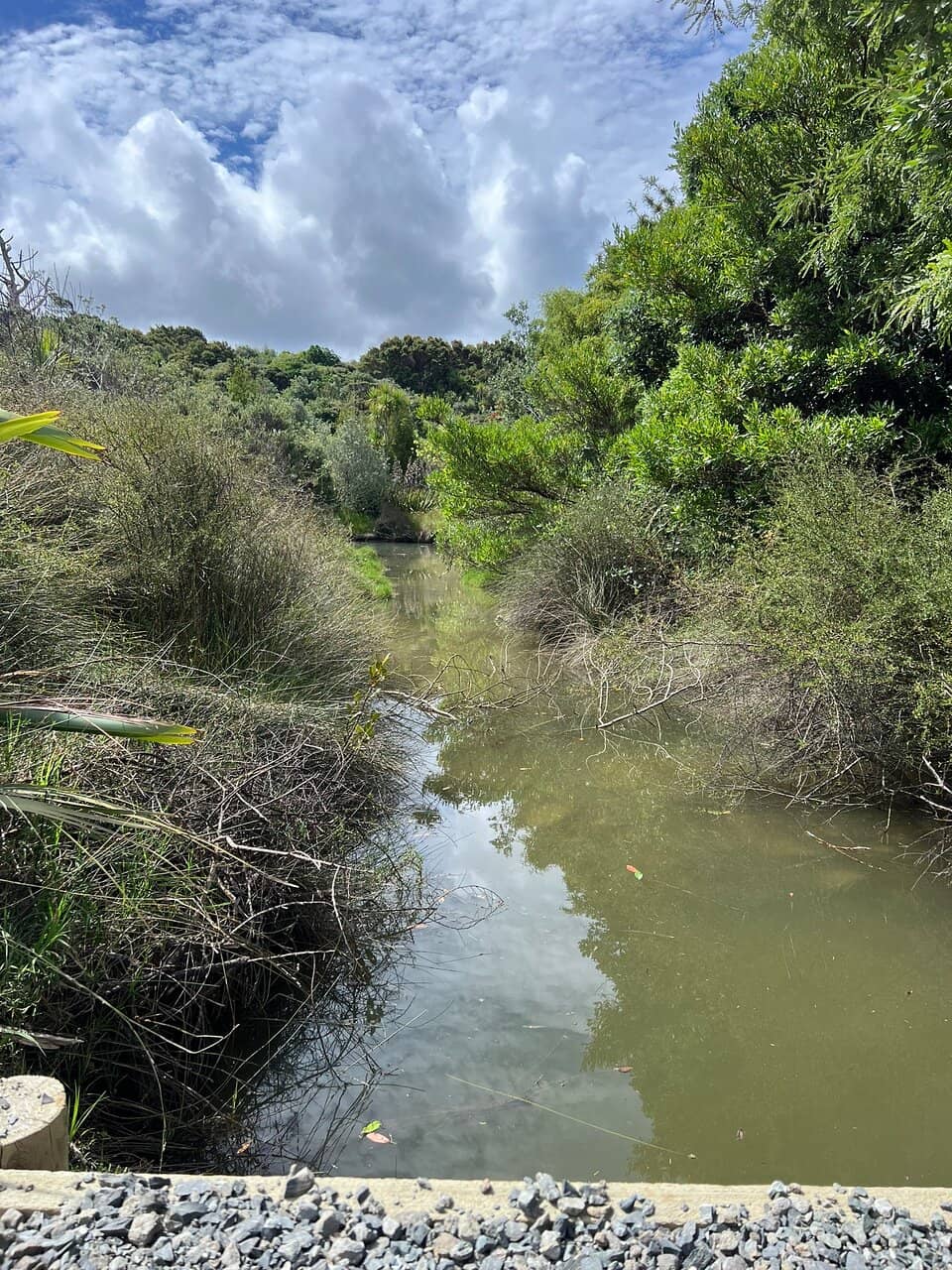 Expansive Sandy Beach