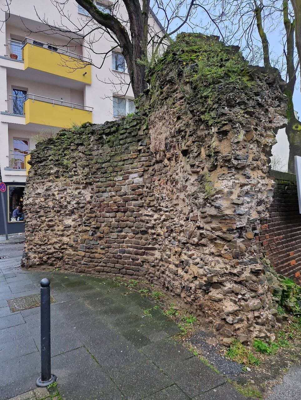 Vertical photo