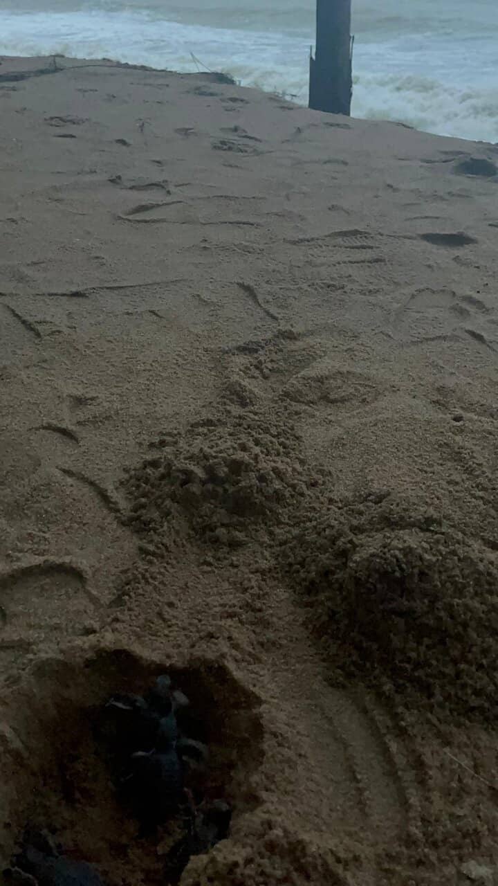 Educational Exhibits