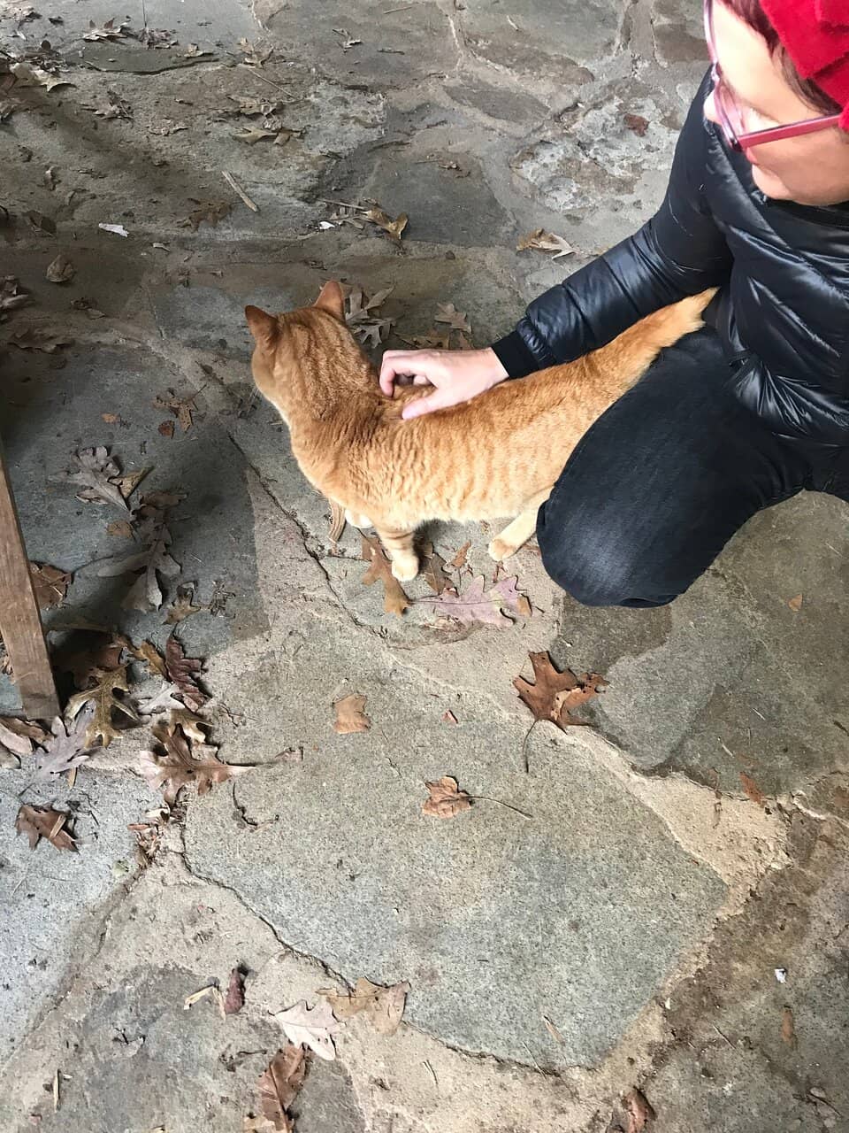 Panoramic Mountain Views