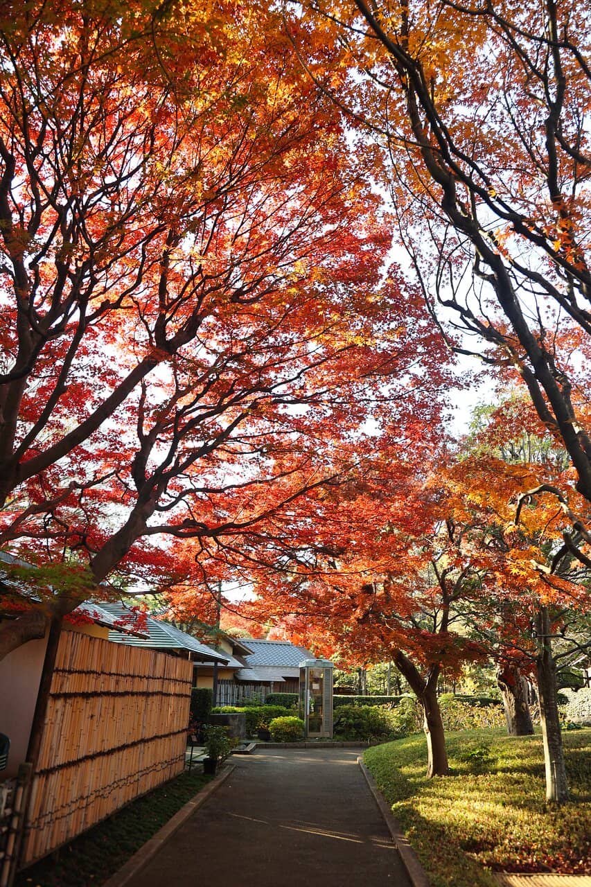 Onsite Museum