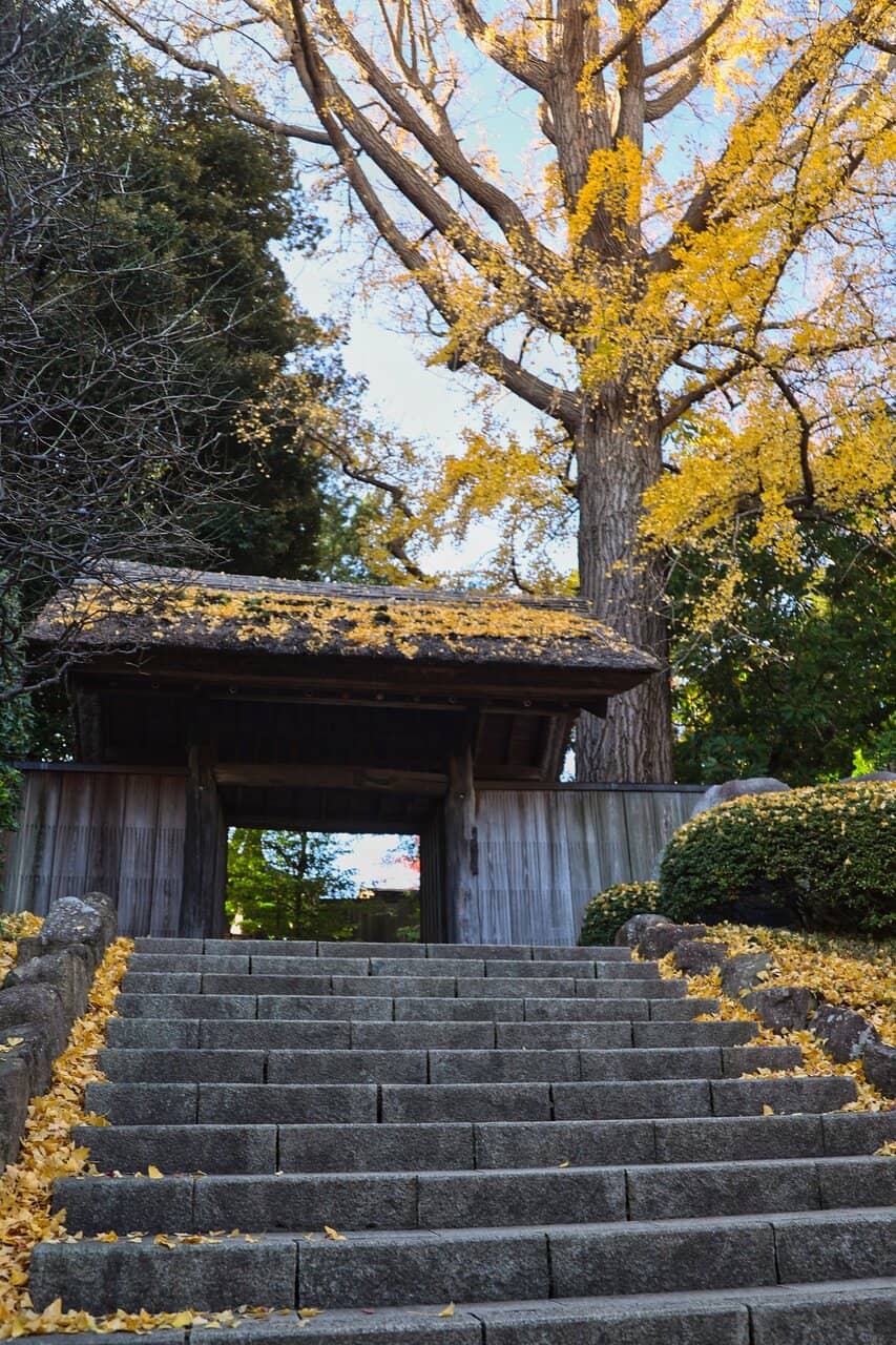 Tojo House