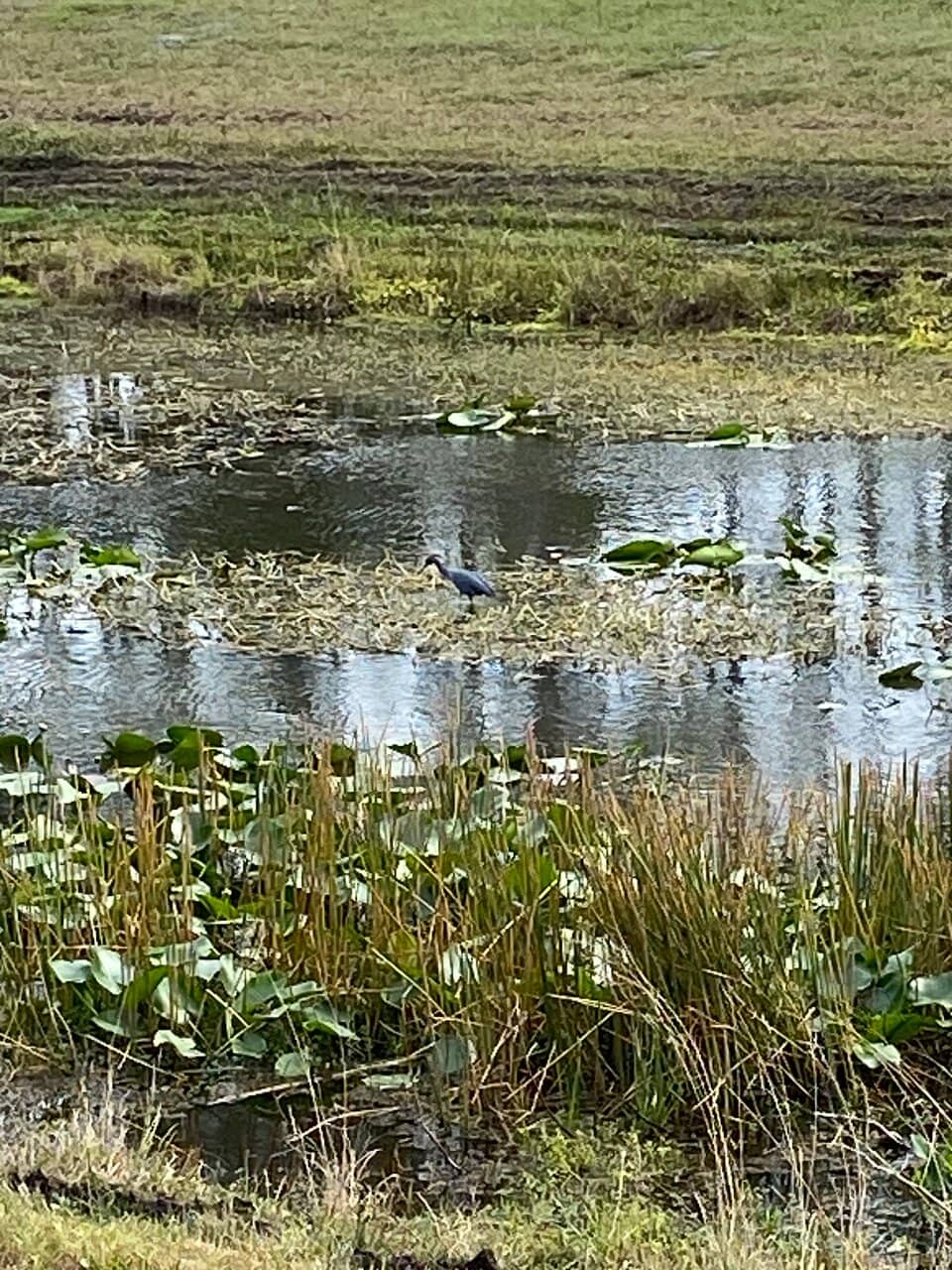 Sustainable Discovery Center