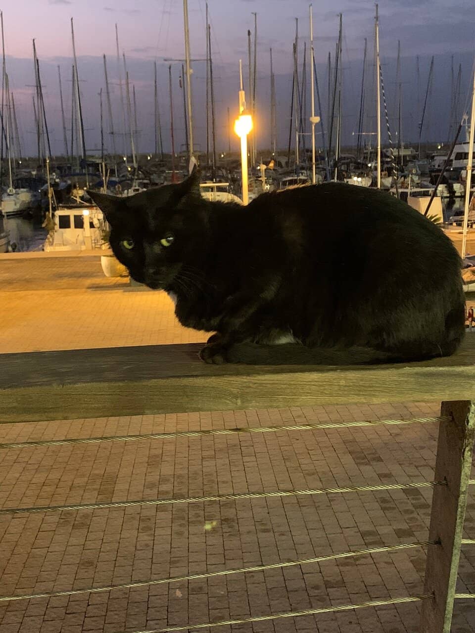 Beachfront Boardwalk