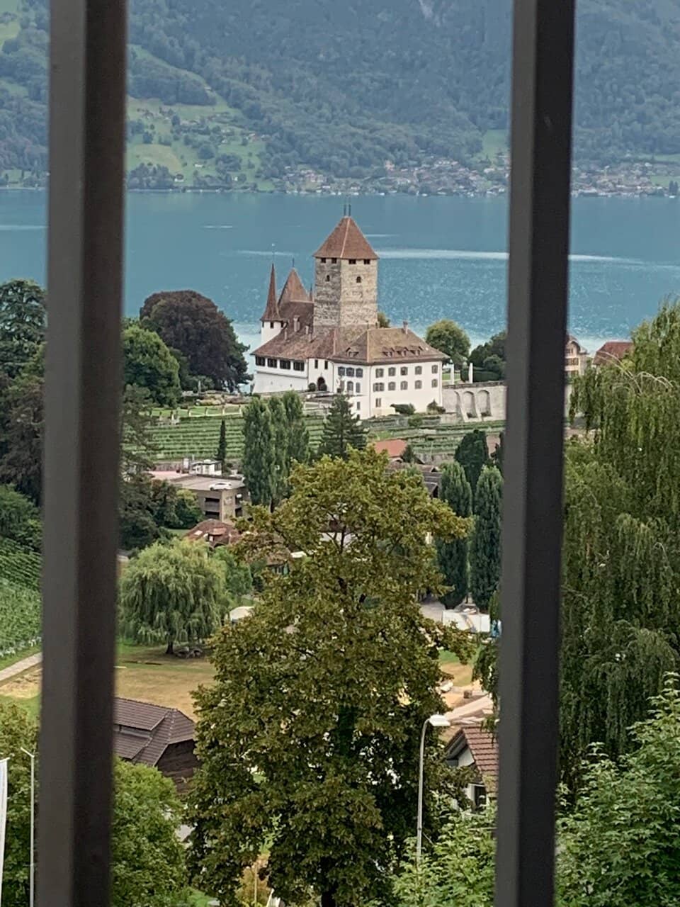 Vertical photo