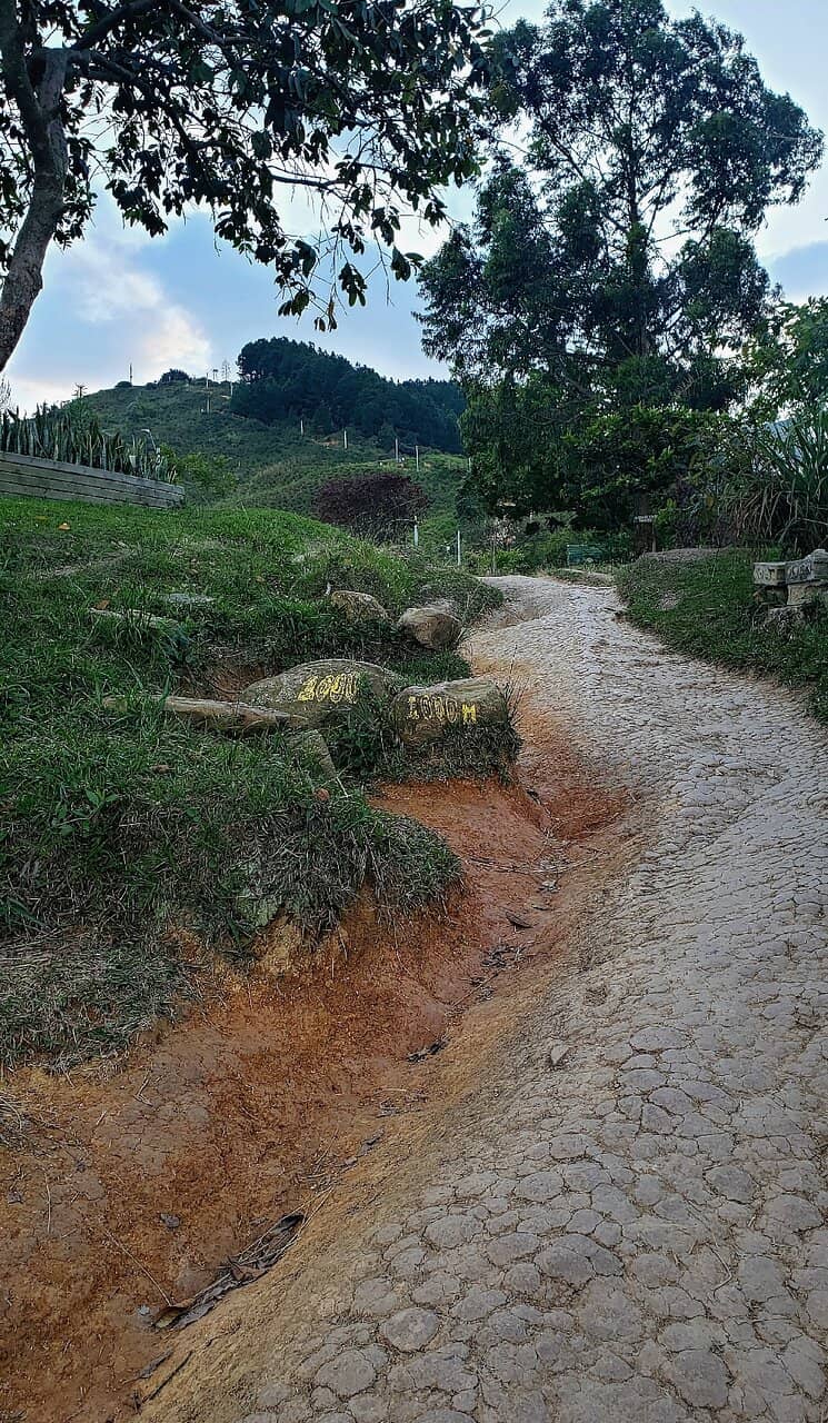 Outdoor Gym & Zumba Classes