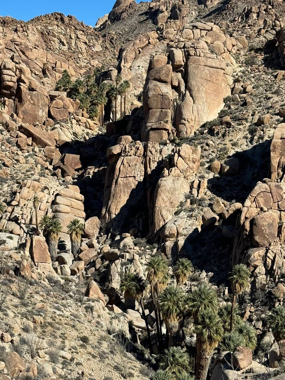 Mastodon Peak Overlook