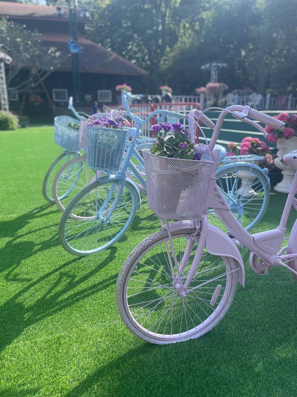 Sculptural Flower Displays