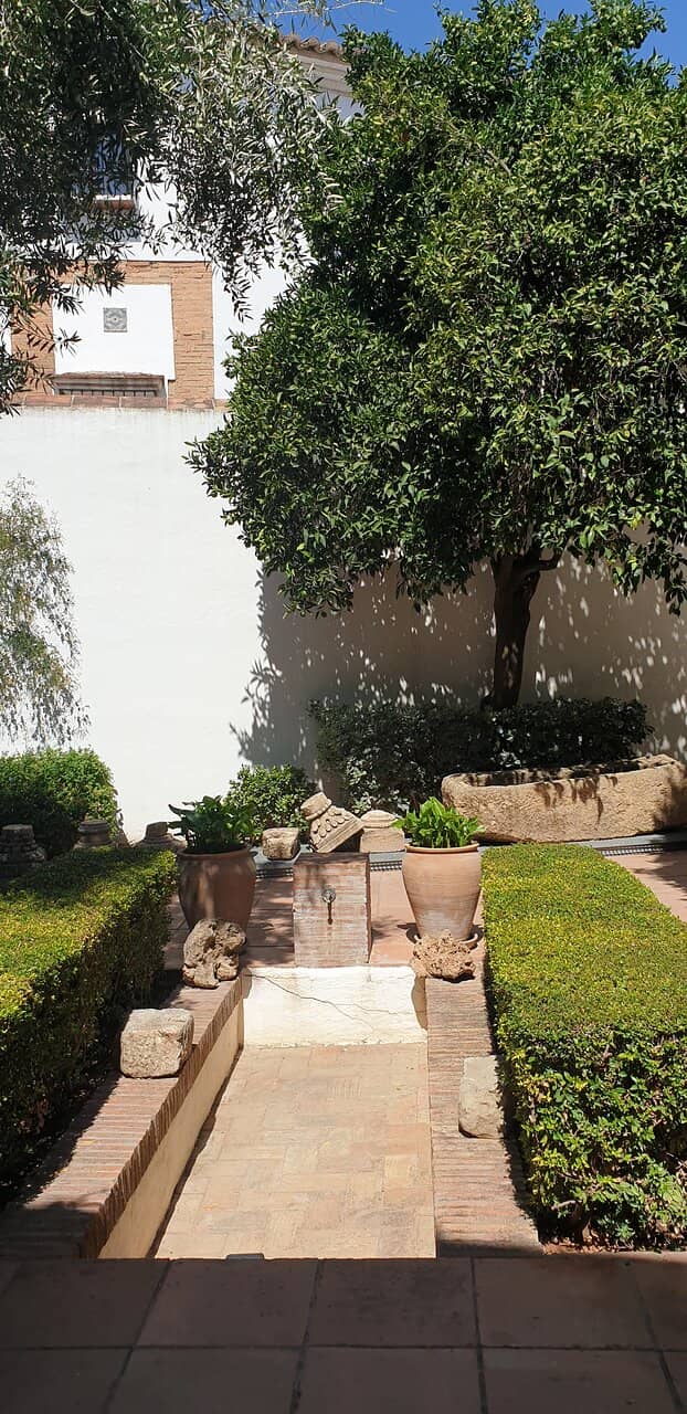 Animated Historical Film