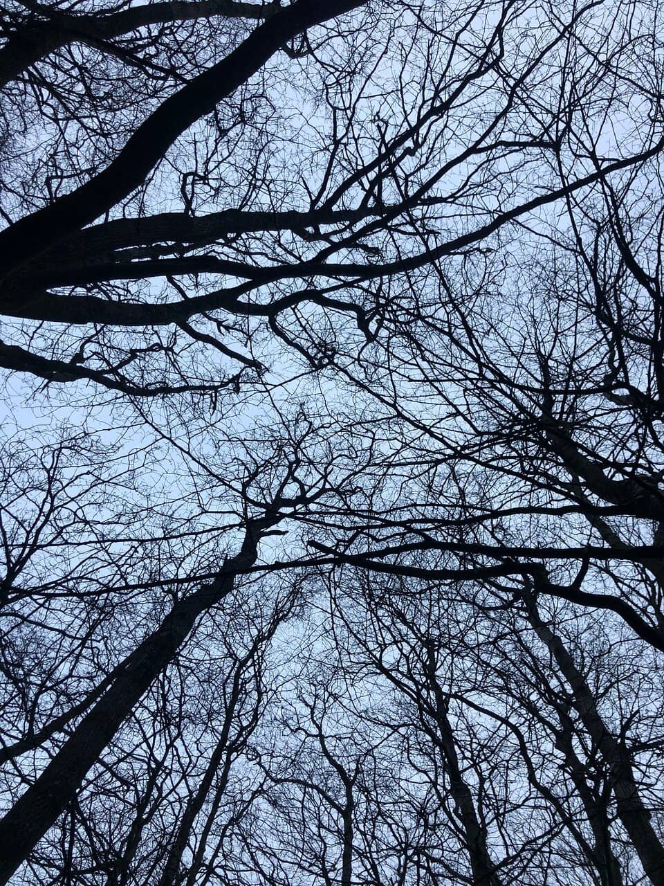 North Cliffs Coastal Path Access