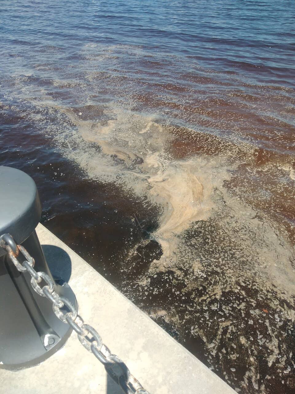 Calm Waters for a Dip