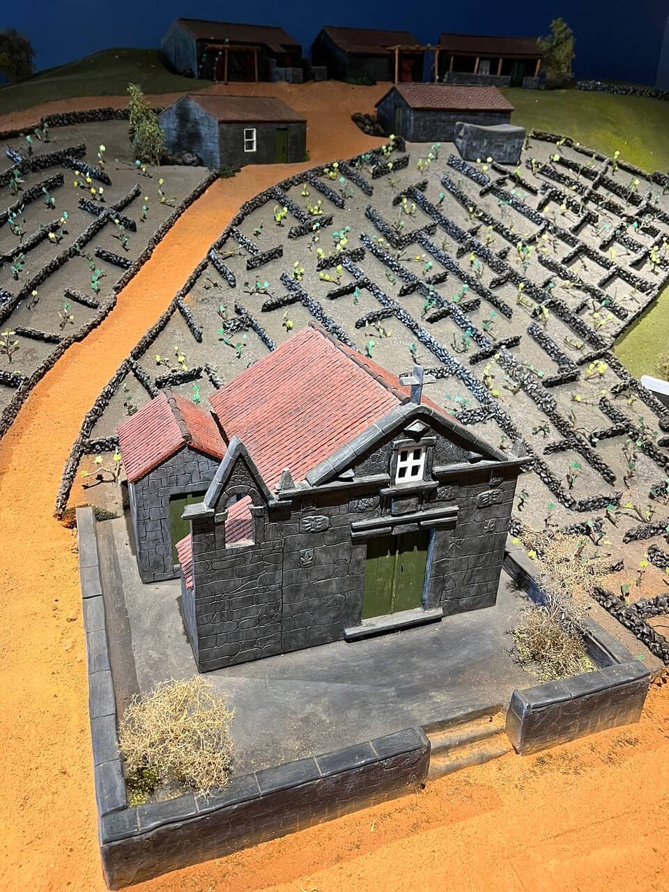 Wine History Exhibition