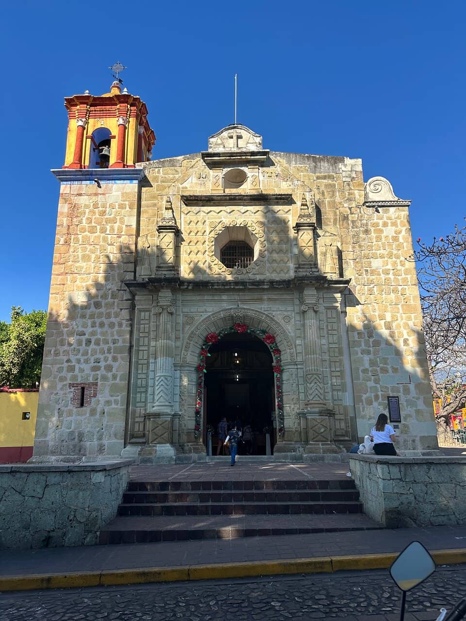 Ancient Flowering Tree