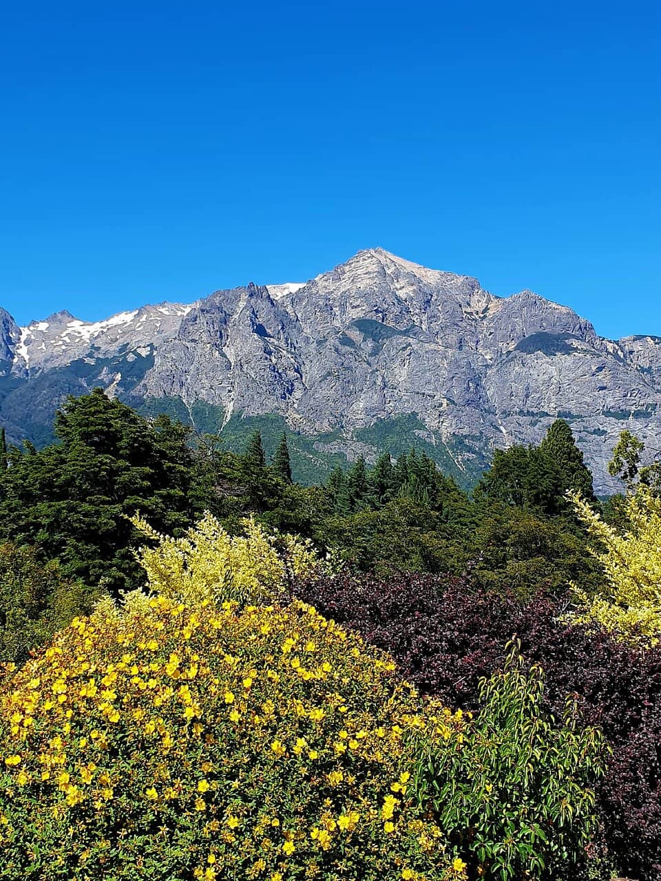 Cerro Campanario