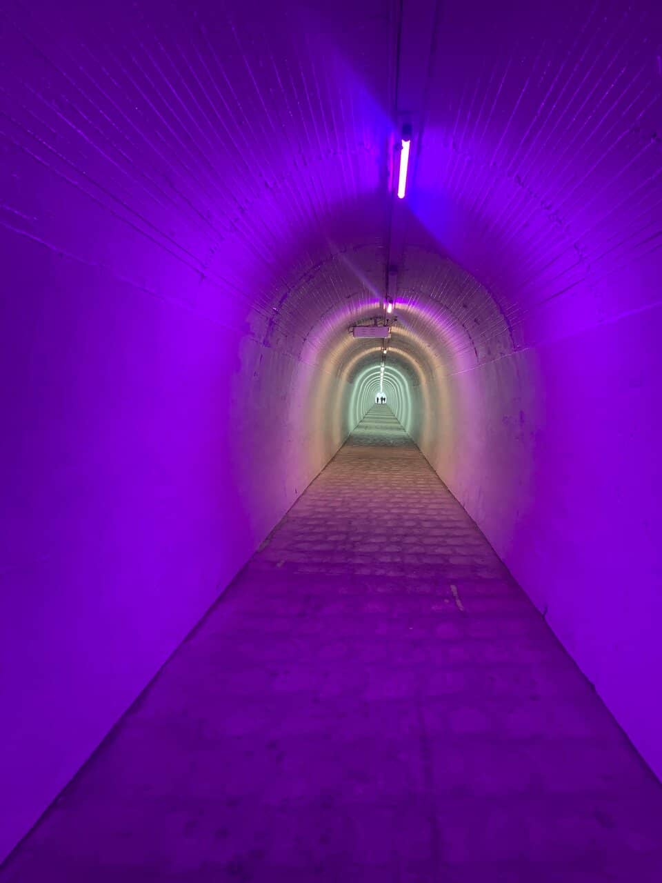 Illuminated Tunnel Walk