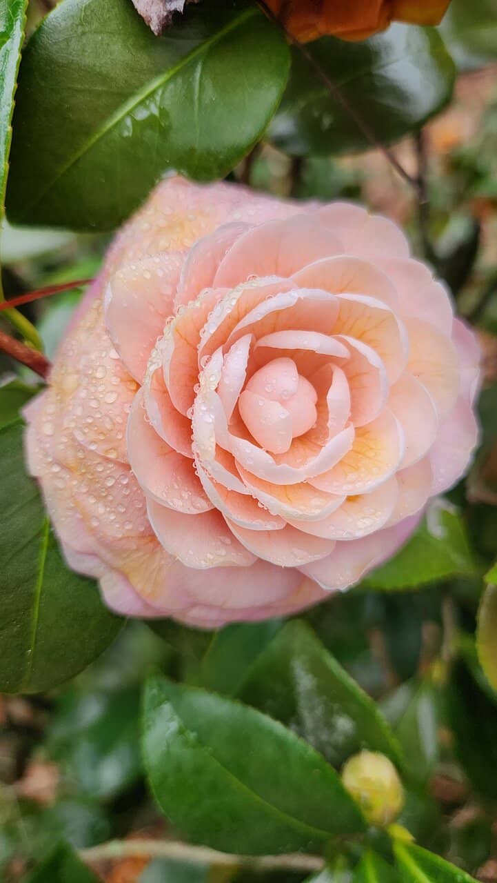 Interactive Exhibits