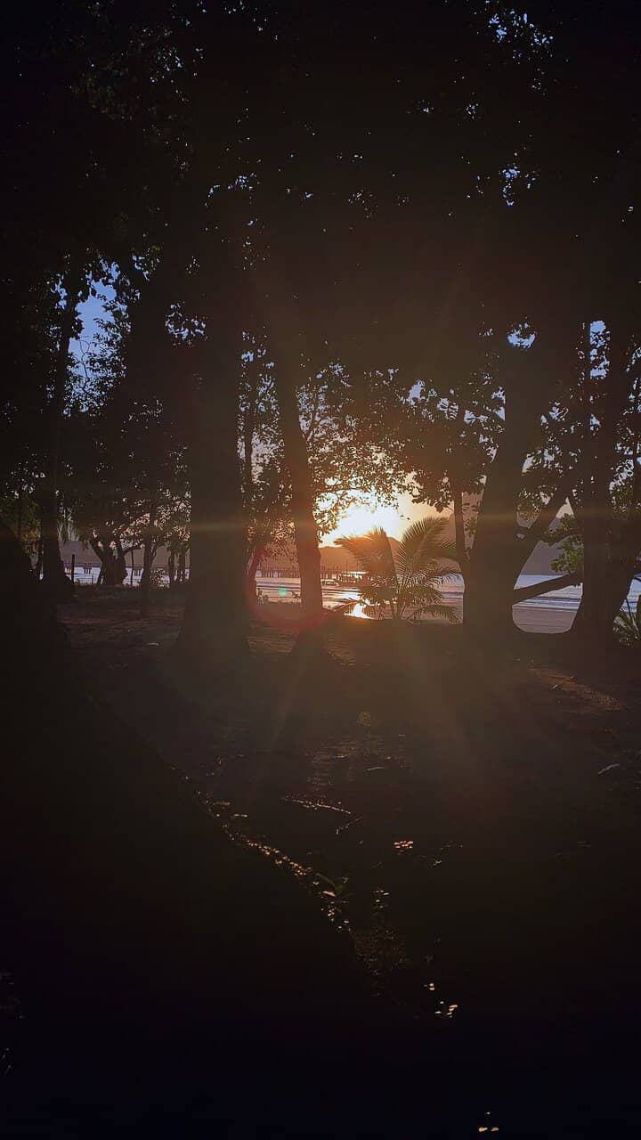 Sunset Spectacle