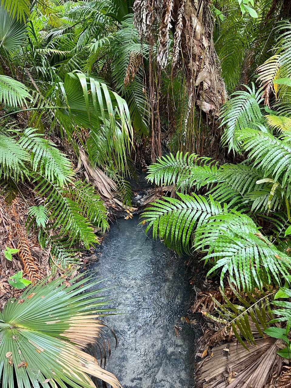 Lush Nature Trails