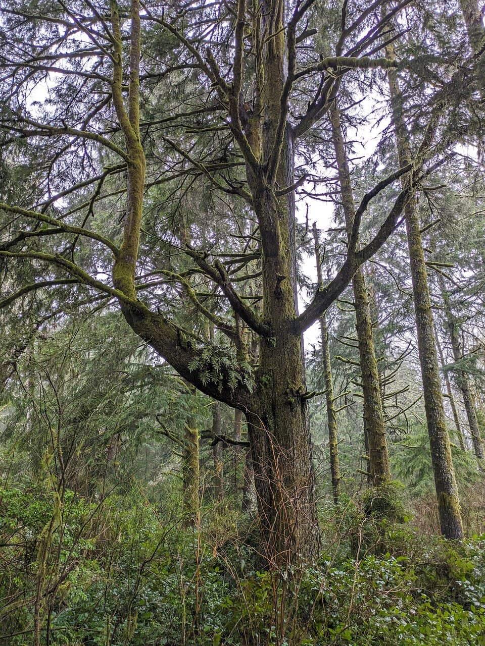 Vertical photo