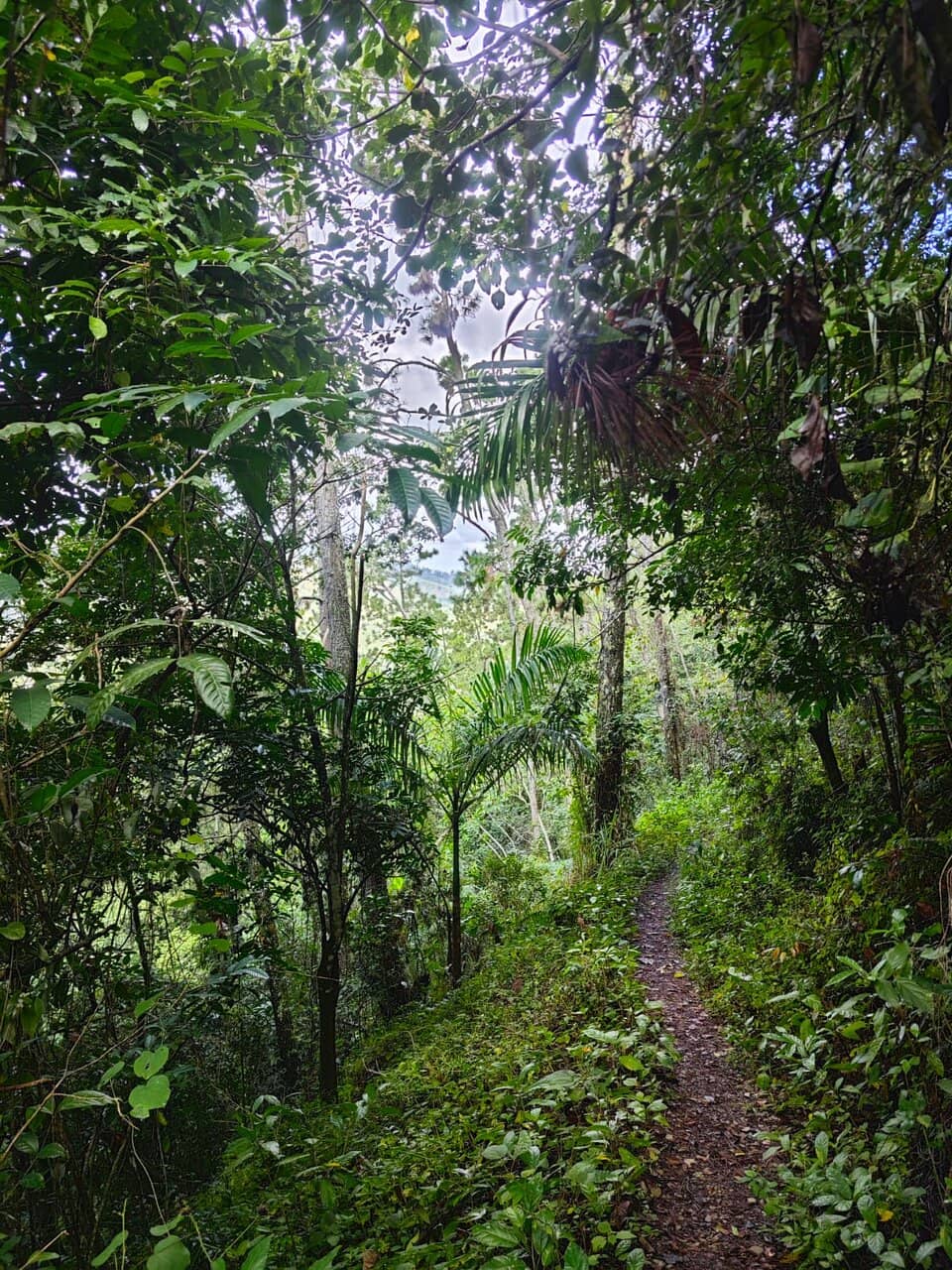 Muddy Descent (with caution!)