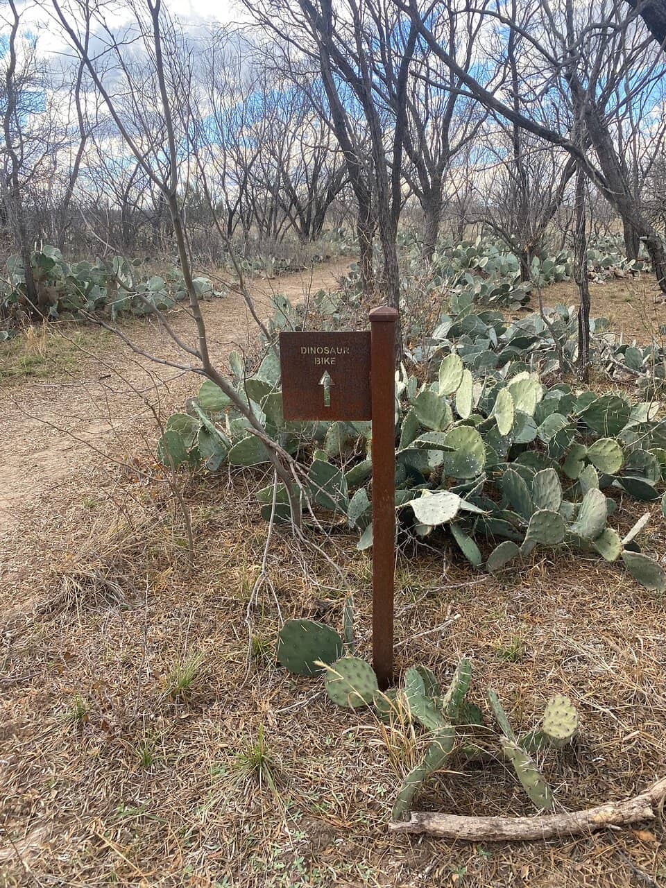 Scenic Sunrises & Sunsets