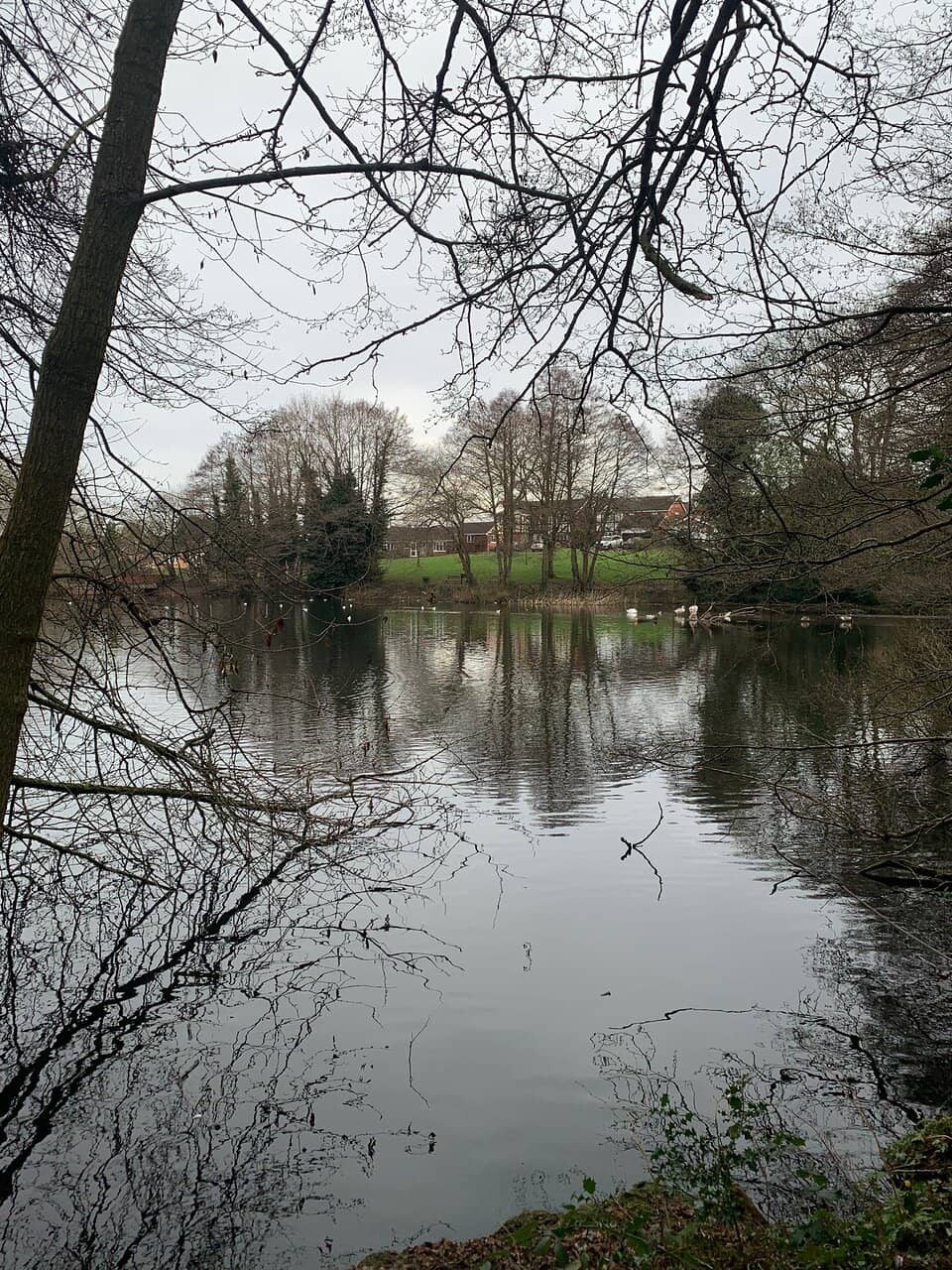 Seasonal Wildflowers