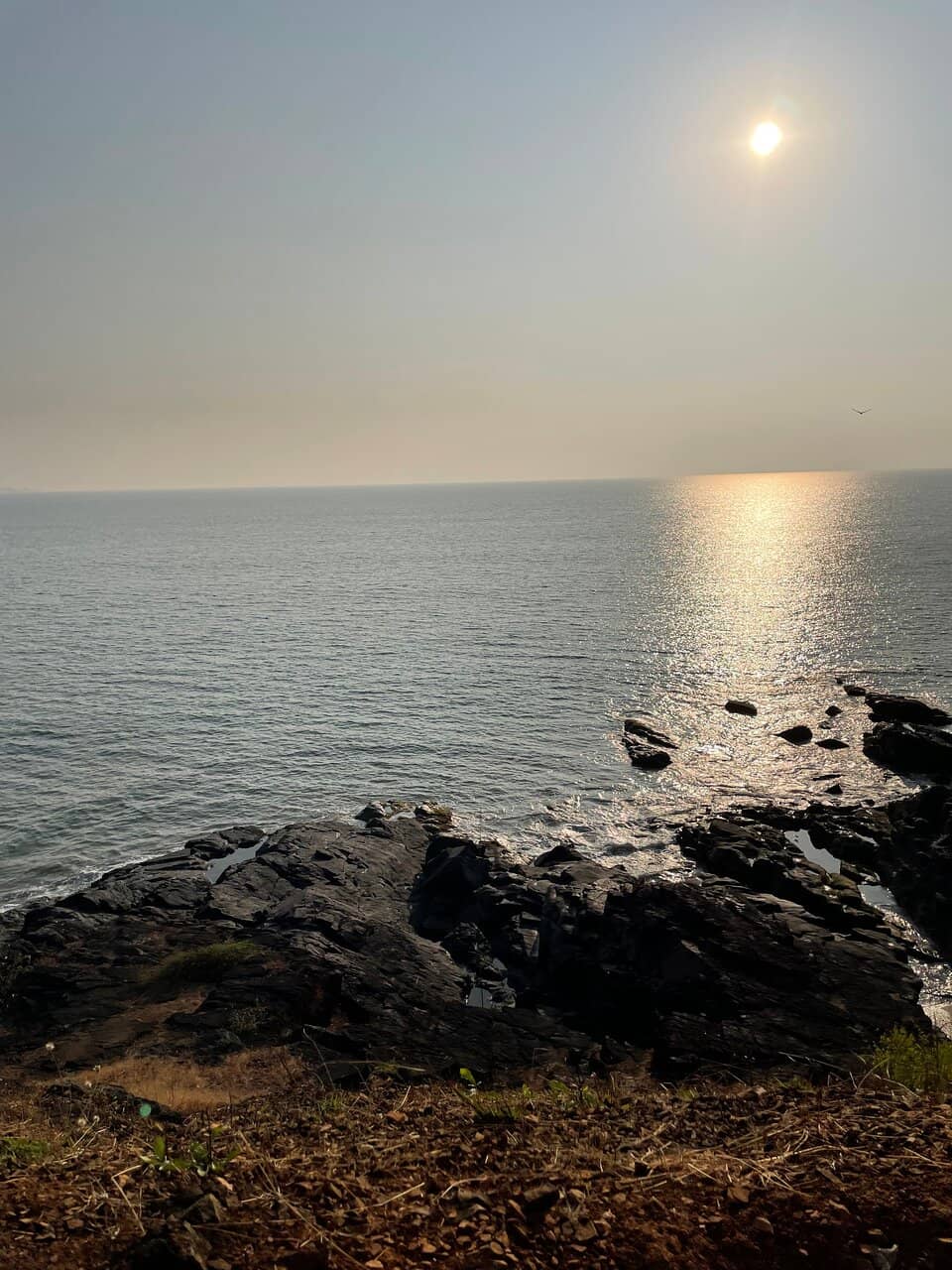 Shell Beach