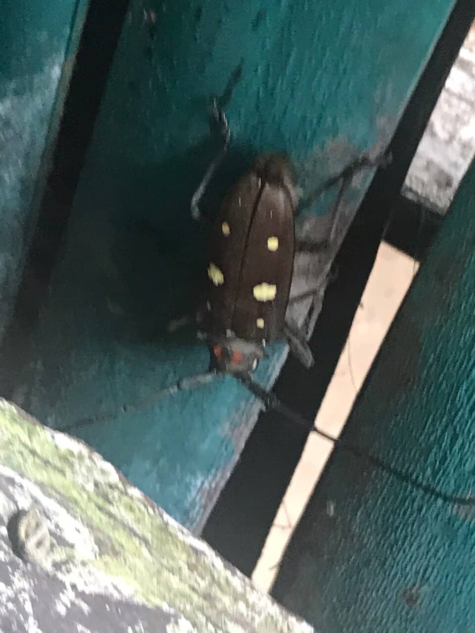 Scenic Mountainous Surroundings