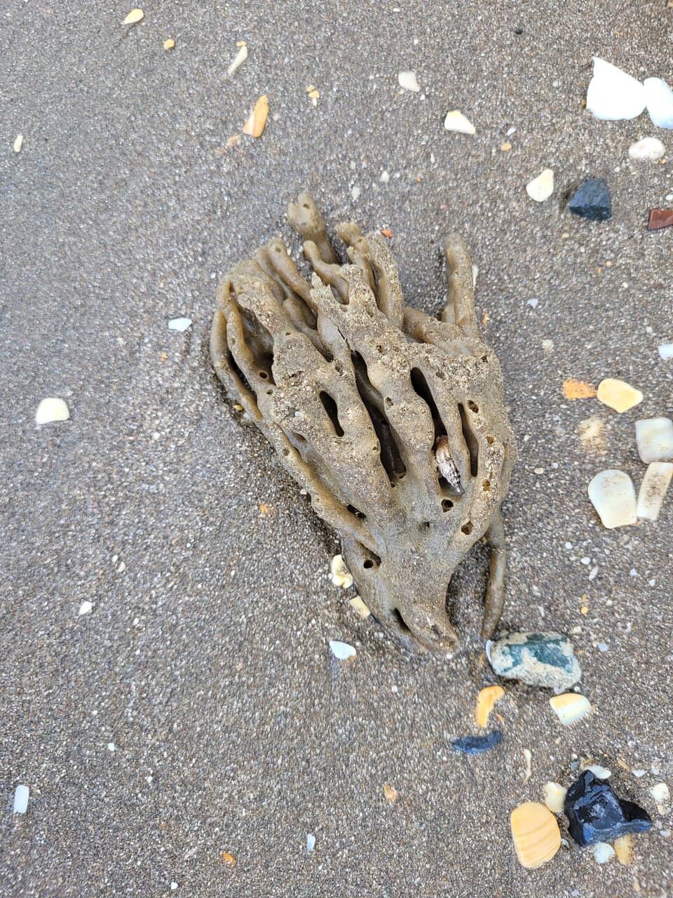 Hauraki Gulf Lookout