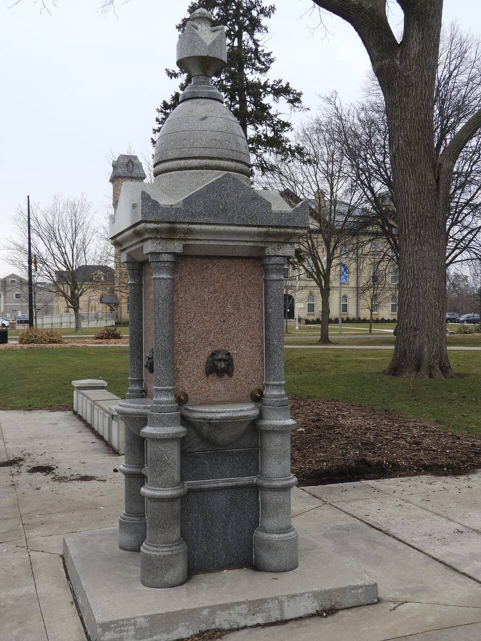 Vertical photo