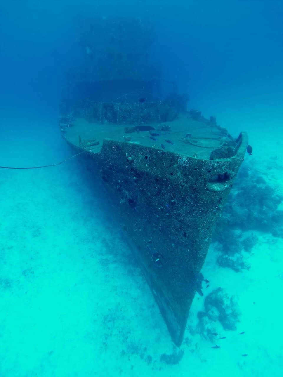 Halocline Layer