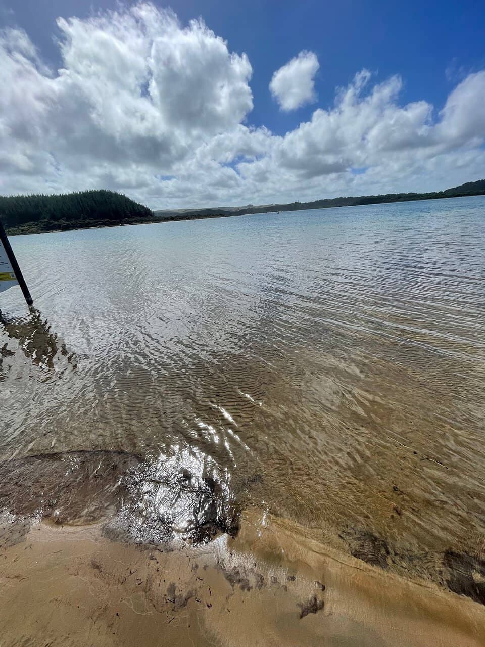 Scenic 8km Lake Walk