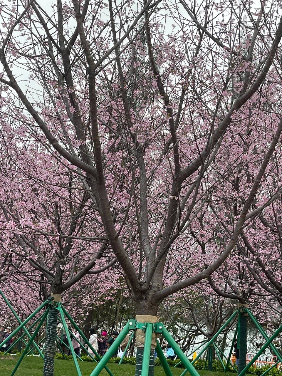 Third hero image