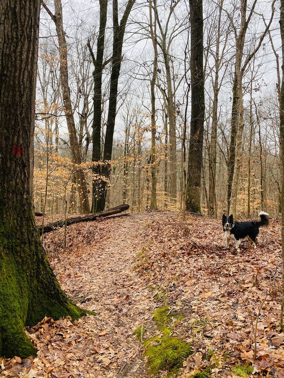 Picnic & Gathering Spots