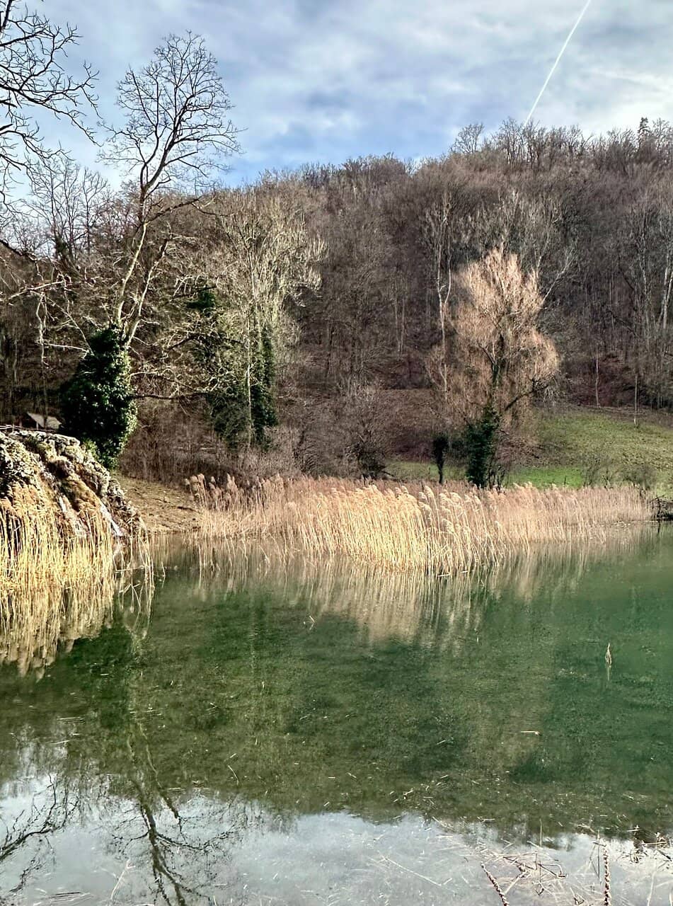 Schloss Birseck