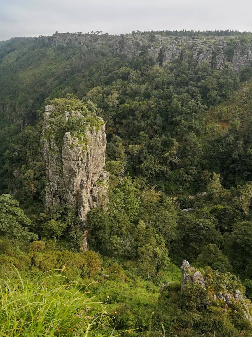 Nearby Waterfall