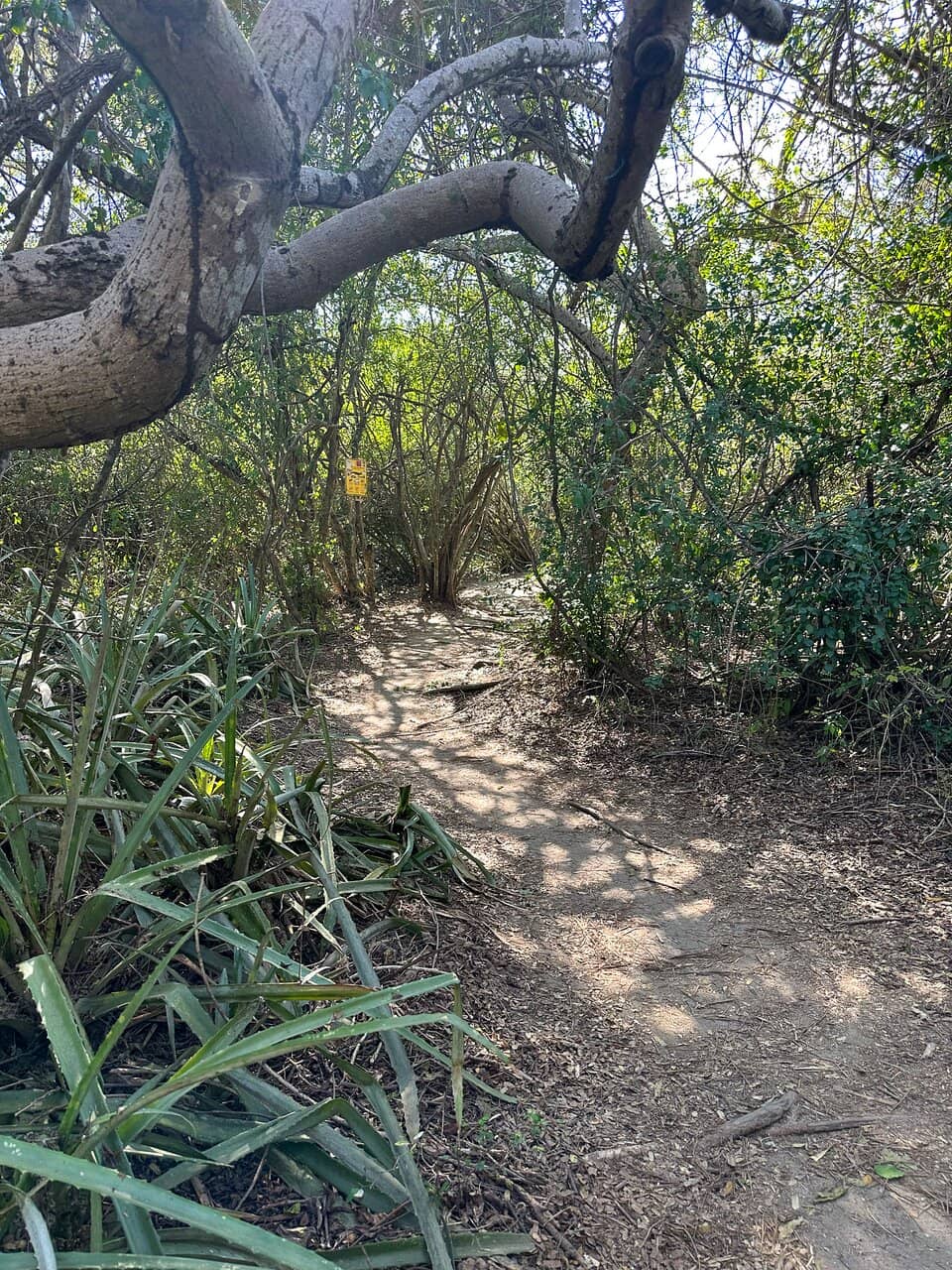 Secluded Beach Bliss