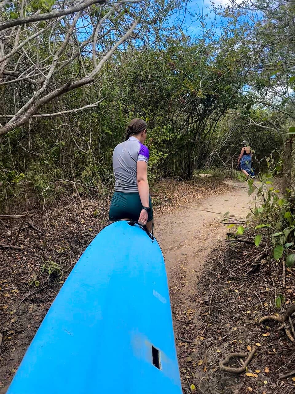 Abundant Wildlife Sightings