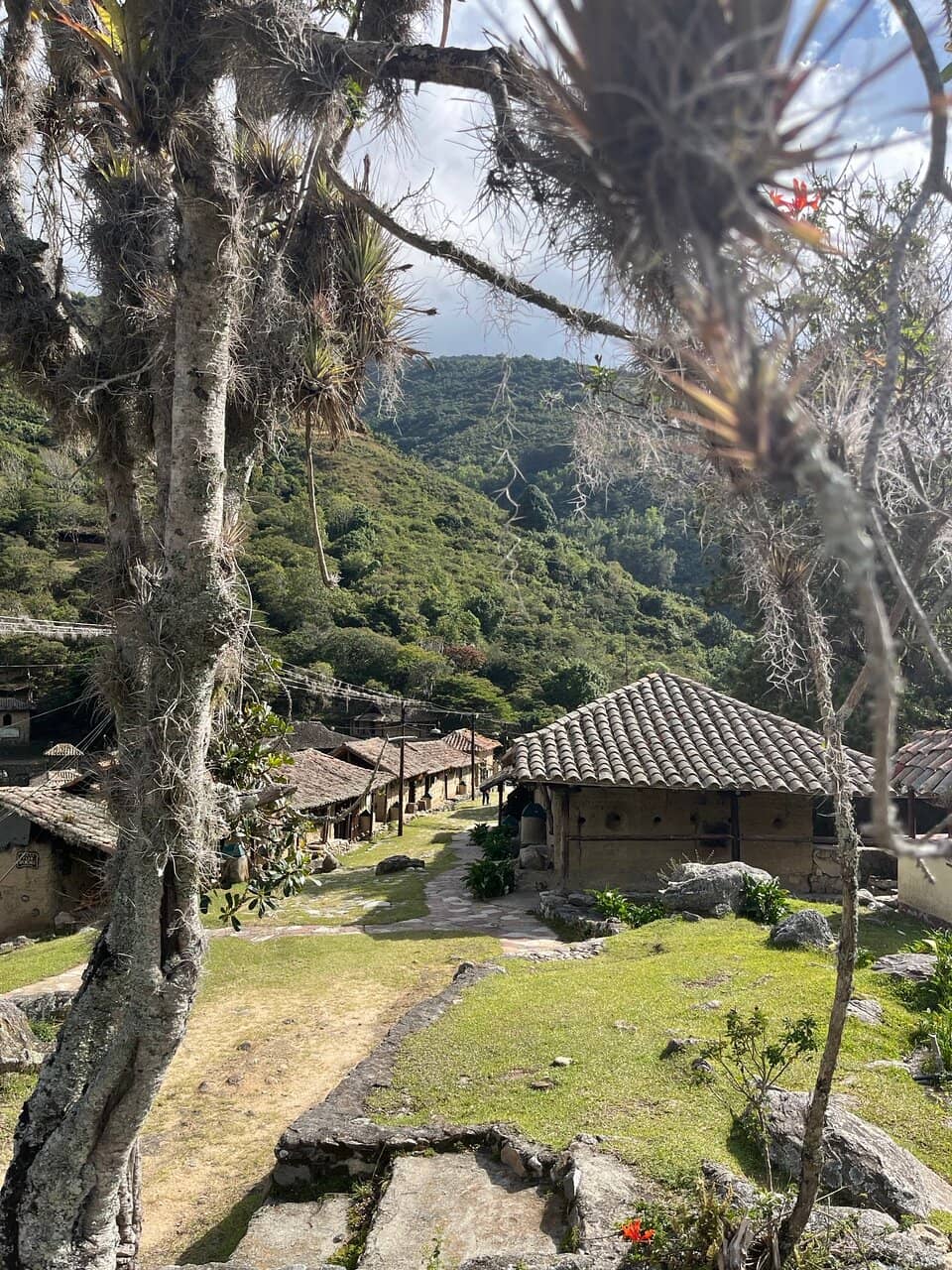 The Thrilling Toboggan