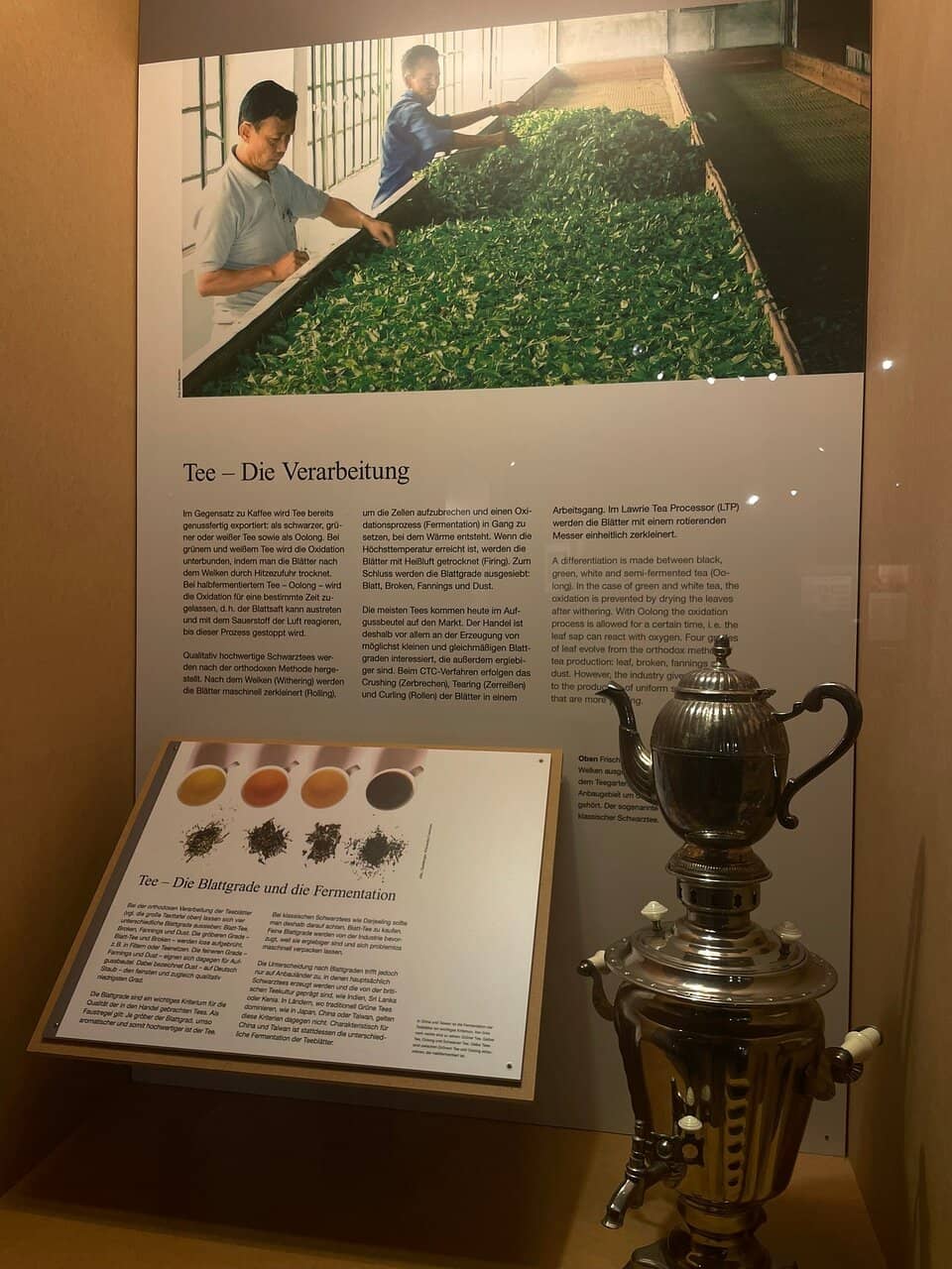 Coffee & Tea Trading Insights