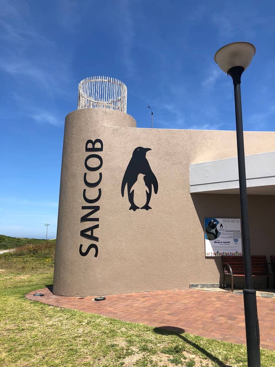 Seabird Rehabilitation