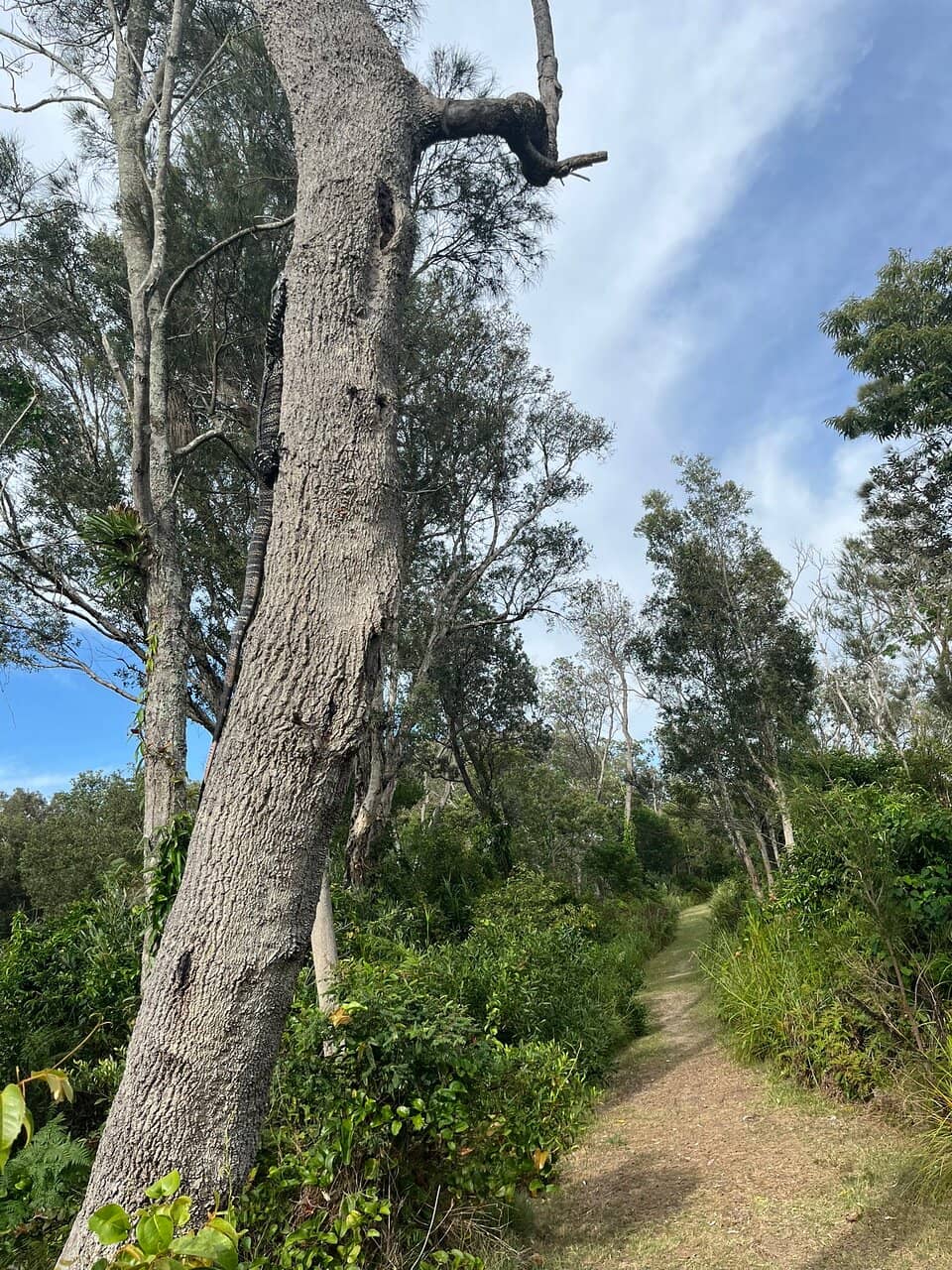 Vertical photo