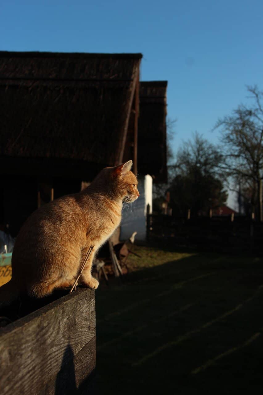 Sunbeam Gables