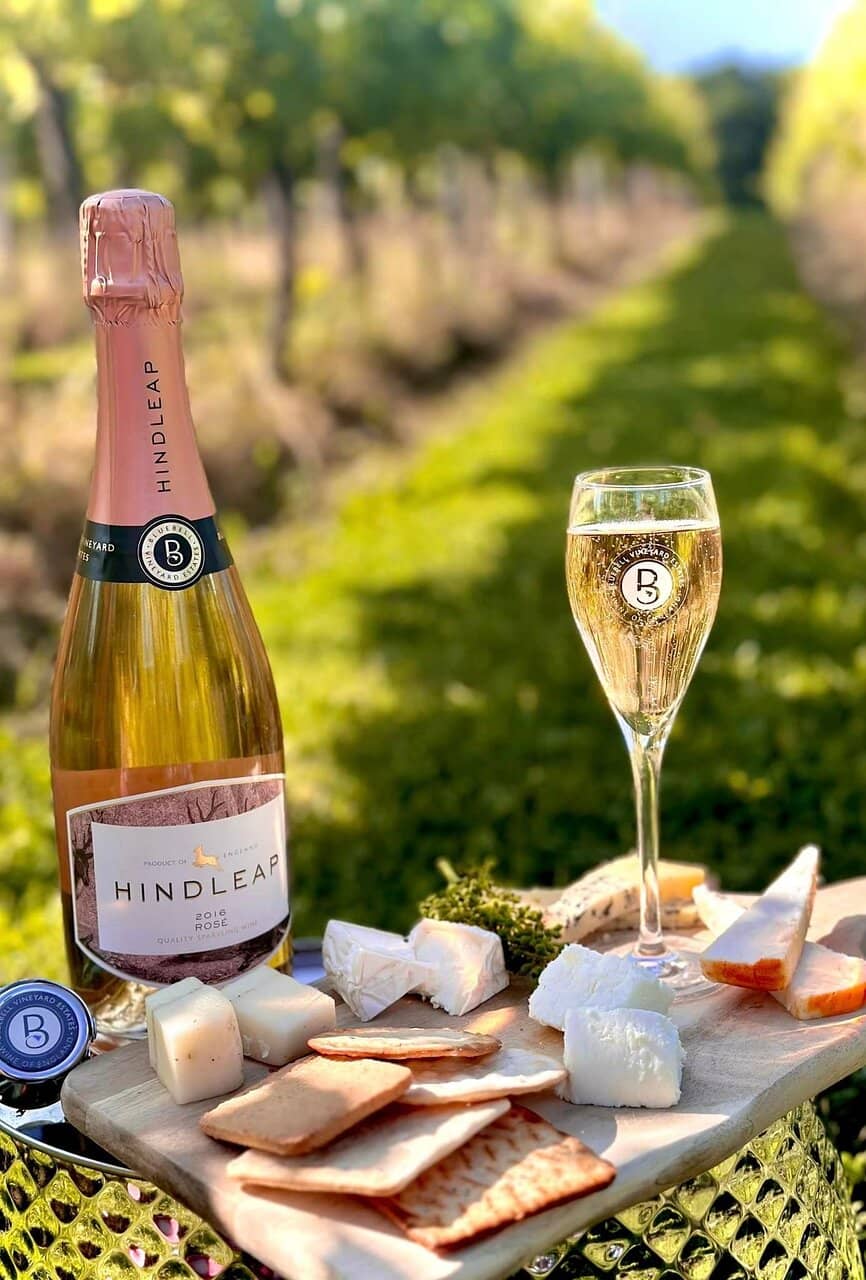 Wine Tasting Experience